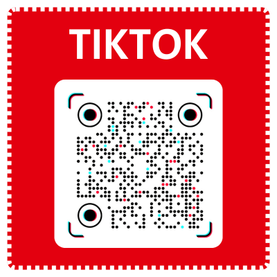 Tiktok SPD Vogtland